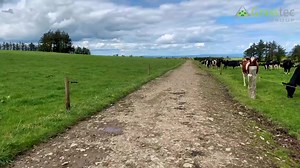 Batt Latch Timer in action here. Pre-programmed by the farmer, the Batt Latch timer can be used on any gate handle. ideal for saving you time on long walks to the parlour. https://www.grasstecgroup.com/product/batt-latch-timer/ | Grasstec