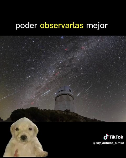 tiktok me elimino el video XD #viral#viarl #viral