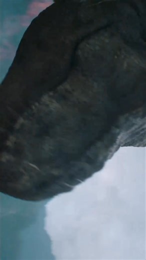 666K views · 11K reactions | T-Rex vs Carnotaurus #Tyra#tyrannosaurusrex #Carnotaurus #Dinosaur #Dinossauro #JurassicPark #JurassicWorld | Godzilla, Kaijus & Dinossauros | Facebook