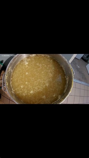 Corn Mash Fermentation Day 14