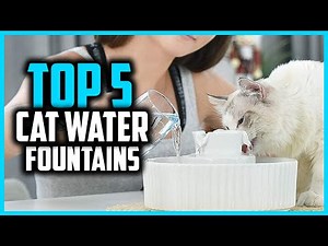 ✅ Top 5 Best Cat Water Fountains in 2025