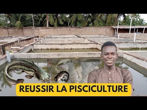 Les Différents Types de Pisciculture : Guide Complet Pour Bien Démarrer sa pisciculture en 2024