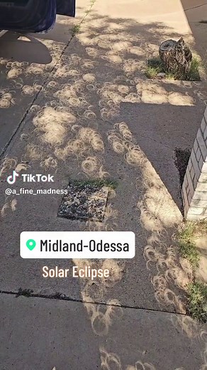 A_Fine_Madness (@a_fine_madness)’s videos with original sound - A_Fine_Madness