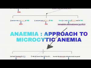 ANAEMIA : APPROACH TO MICROCYTIC ANEMIA