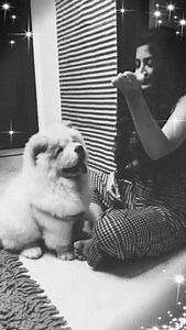 14K views · 13 shares | #loyalty and #love ..... all that one wants to have a happy life ... who is cuter caspa or me ??? | Poonam Kaur | Facebook