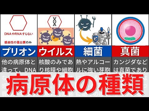 [9-minute explanation, 9-minute national exam questions] Explanation of types of pathogens