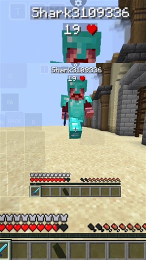 Minecraft Sword Combo In Mobile (Pojavlauncher)