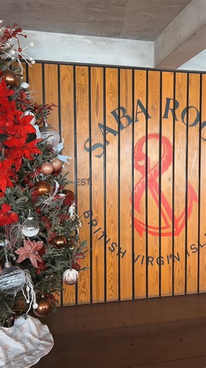 Christmas is coming to Saba Rock, and we’re decking the island for the most magical season of the year. Tropical vibes, twinkling lights, and holiday cheer incoming. ⚓️ Anchor your heart at Saba Rock || Open daily for breakfast, lunch dinner || Happy Hour 4:00 pm - 6:00 pm upstairs #sabarock #sabarockresort #virgingorda #bvi #caribbeantravel | Saba Rock Resort
