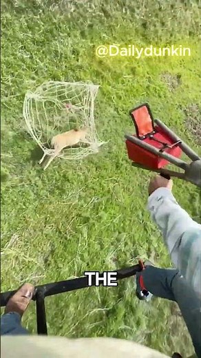 He Hunts Springbok Using A Helicopter