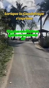 La Guadeloupe s'exprime, Gwada est là et bien là !!! DOUBOUT ✊🏿💚💛❤️✊🏿APY Source Vidéo Tiktok : eliza | Mada 972 News