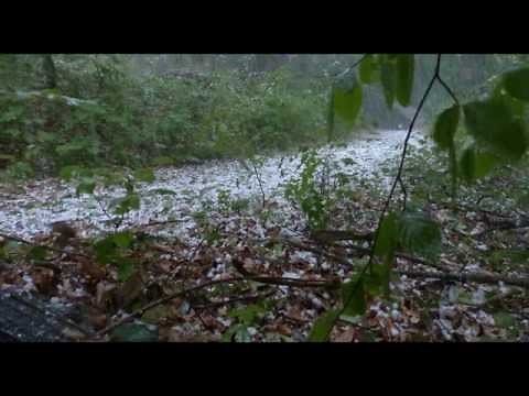 Hailstorm sounds| The sound of hailstones