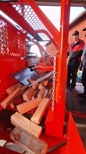 First firewood out with the new Japa 505.