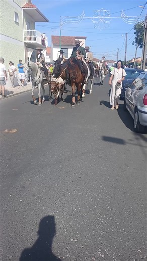 guri guri (@hugo.guri2)’s videos with som original - guri guri