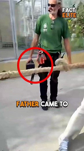 Boy Underestimates Lion Cub and Gets Defeated 🦁 | Fact Elite