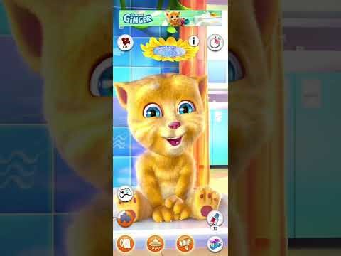 👉 “Talking Ginger Made Me Laugh Nonstop 😂 | Super Funny Talking Ginger Moments!”