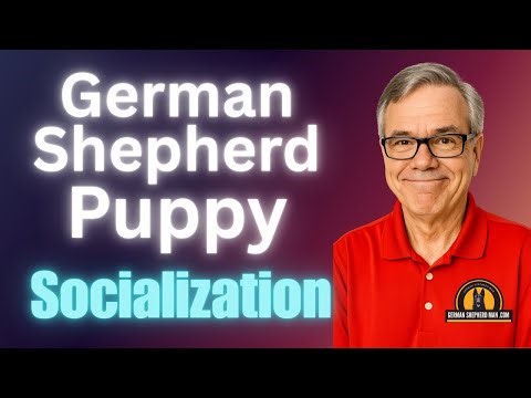 Absolutely...THE Most Important Part of German Shepherd Puppy Training