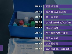 ELISA实验保姆级实验流程，从配置标准品到上机，超详细！