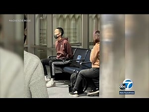 American Airlines flight attendant who was punched had accidentally bumped passenger