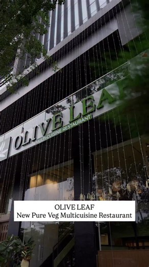 #NEW IN #INDORE ~ OLIVE LEAF RESTAURANT @ VIJAYNAGAR! A brand-new restaurant in Indore that brings you everyone’s all-time favourite comfort dishes — served in a clean, modern, and hygienic space without burning a hole in your pocket! The Olive Leaf is designed around a simple yet strong vision — to serve classic, feel-good dishes that everyone loves, prepared with quality ingredients and served in a relaxed, affordable, and family-friendly environment. MENU HIGHLIGHTS: – Desi Chinese favourites