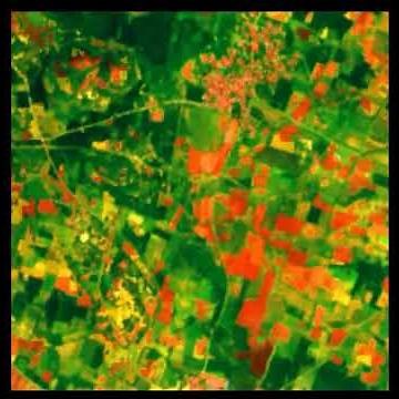 Satellite Based Crop Health Monitoring