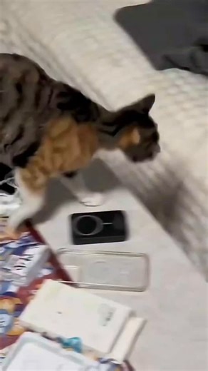 MyPetParadise on Instagram: "In Japan, researchers are using smart walkways to turn everyday activities into clean energy 4. These roads are embedded with special piezoelectric material that can collect kinetic energy from pedestrians' footsteps. When people walk, run or jump, the road surface is slightly deformed, creating mechanical pressure. Piezoelectric crystals convert this pressure into electrical energy. This energy can be used to illuminate street lights, power public displays, and even