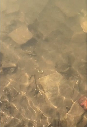 Kapten Fishing Tackle on TikTok