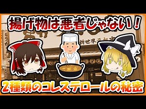 まさか！揚げ物は悪者じゃゃない！？2種類のコレステロールの秘密？【ゆっくり解説】