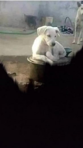 kokojani57815 on TikTok