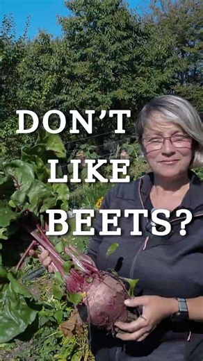 I Did not Like Beets But Now I am Growing them!