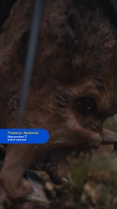  Step into worlds beyond imagination—massive scale, breathtaking sound, and total immersion. Experience Novembers new releases in IMAX | Cineplex | Facebook