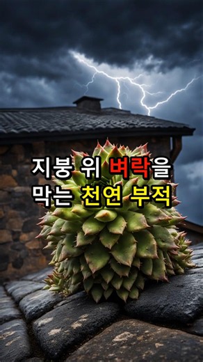 It Blocks Lightning Just by Growing on Your Roof? The Shocking Truth About Houseleeks