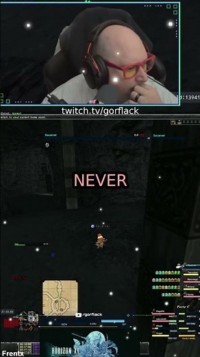 FFXI Mob Swarm Chaos | Almost Overrun by Enemies