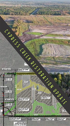 PBC Environmental Resources Management on Instagram: "🌱 Cypress Creek Restoration Update: The Land Is Taking Shape! This partnership led by Ducks Unlimited (@duconserve), along with the South Florida Water Management District (@sfwmd_gov), Martin County (@martincountyflorida), and Palm Beach County (@pbcerm), is well underway restoring a 340-acre former agricultural field back to its natural condition. Since our last update, significant earthwork has taken shape across the site. Dirt has been c