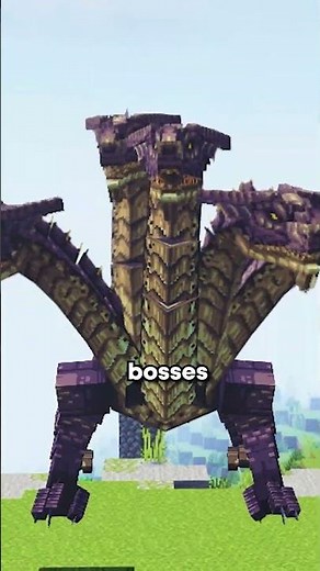 Best MINECRAFT SERVER to join in 2025 (1.21)