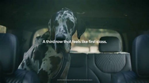 2025 Hyundai Palisade TV Spot, 'First Class' [T2]