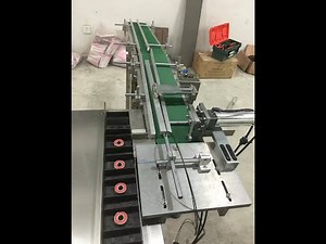 ZH-100 Multifunction automatic horizontal Cartoning Machine