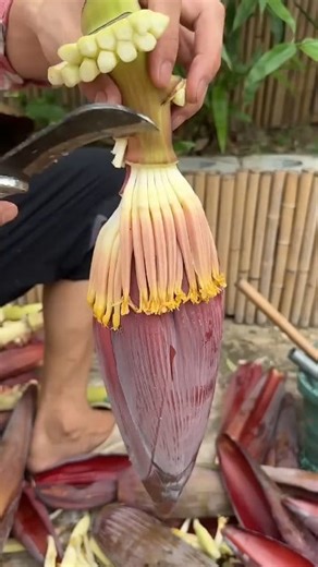 Satisfying Fresh Banana Flower Rapid Cutting Skills 😋 . . . . . #BananaFlower #CuttingSkills #SatisfyingVideos #FoodArt #Shorts | Amazing insight