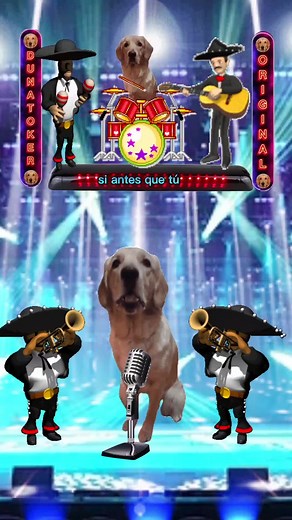 Performing Dog Sings Behind the Microphone