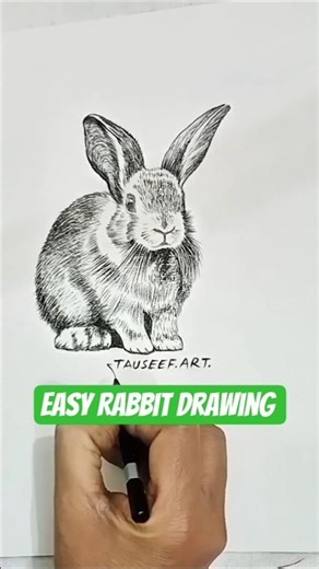 “Realistic Rabbit Drawing ✍️ | Easy Pencil Sketch for Beginners” #drawing #sketch #pencildraw