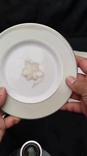 7 X Vintage Susie Cooper for Wedgwood Bone China Plate Set - Etsy