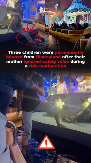 Disneyland Bans Family for Ignoring Safety Rules on 'It's a Small World'