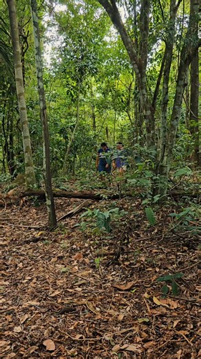 Instagram video by Leo Castro • Feb 3, 2025 at 2:07 AM