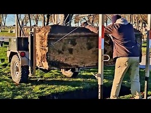 What Is An Exhumation?