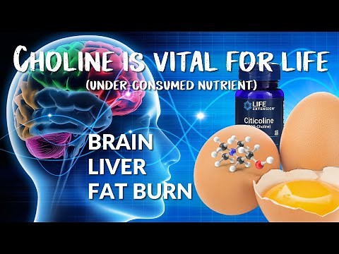 Choline health benefits. #choline is an essential nutrient. Liver and brain health. Fat burning.