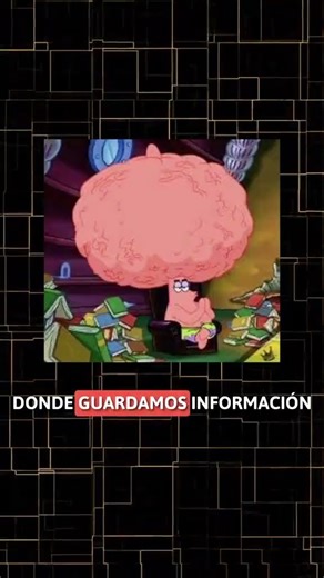 Día 2 aprendiendo Java desde cero Hoy usamos NetBeans ayudas mucho #dia2 #metaysueños #java #bike