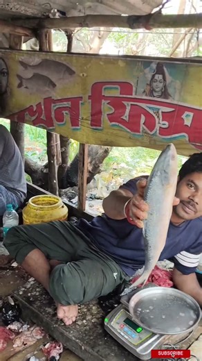 rasullapur bazar fish market fish 🐠🐟🐠 top fish market, new fish market fish 🐠🐟🐠🐠🐟 মাছের বাজার part 3