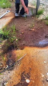 10K views · 5.9K reactions | wow, dry gold rust contains hundreds to millions of gold grains #gold #goldrust #gold grains #golddust #goldpanning #goldhunting | Gustian Gus Tian | Facebook