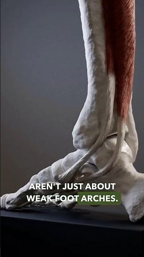 Are You Missing Tibial Rotation?