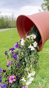 what an illusion🤩(garden diy) we made a living floating planter! #diy #gardening | Leon and Chelsea's Reels