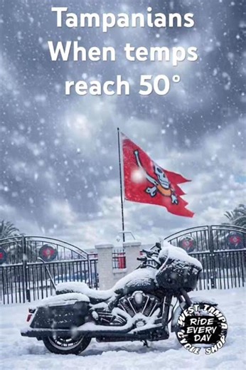 People in Tampa win temps reach 50° in Tampa